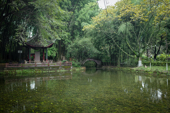 中式公园湖景