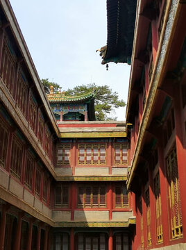 阳光下的古建筑