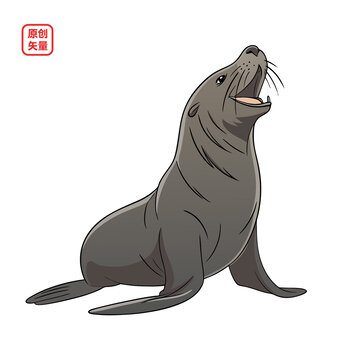 矢量插图动物海洋生物海豹