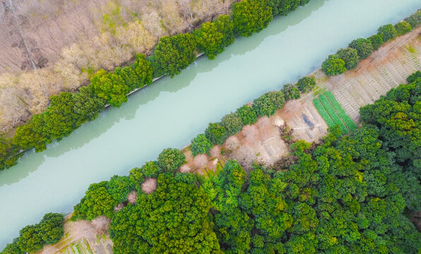 绿地