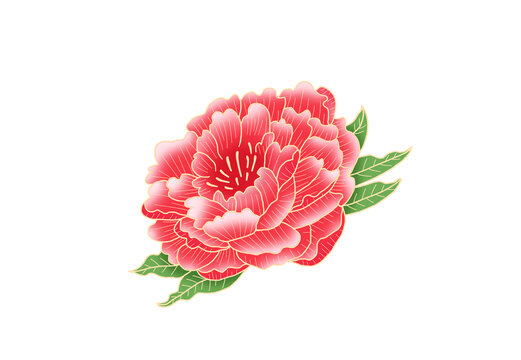 牡丹花插画素材