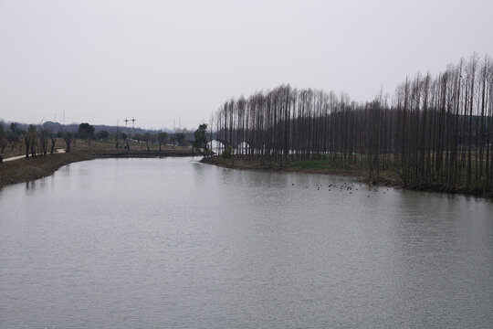 丹阳凤凰湖公园