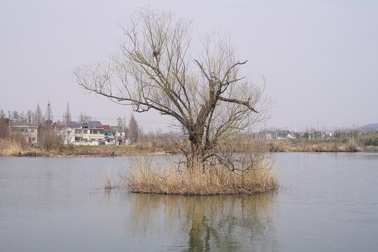 丹阳凤凰湖公园