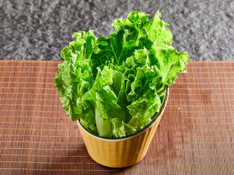 生菜