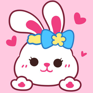 小白兔