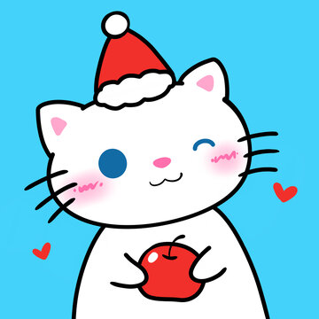 小白猫