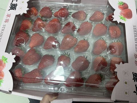 草莓
