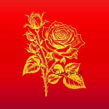 月季线稿