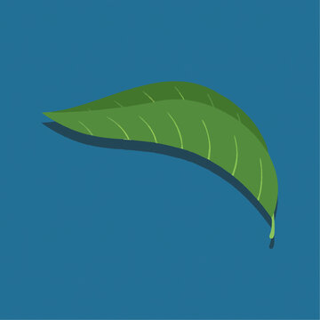 可爱叶子卡通Q版儿童插画