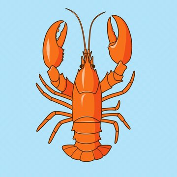 手绘龙虾