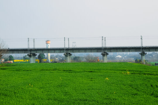 小麦地田园风光高清大图