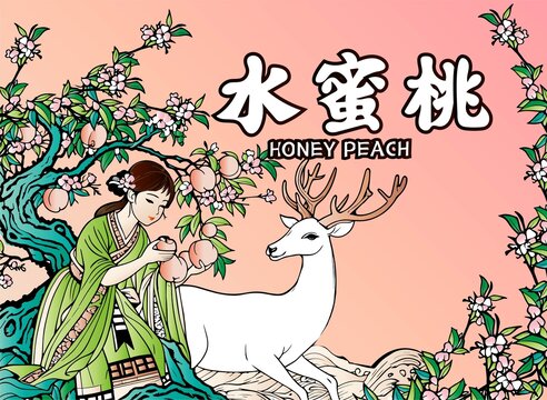 水蜜桃包装插画
