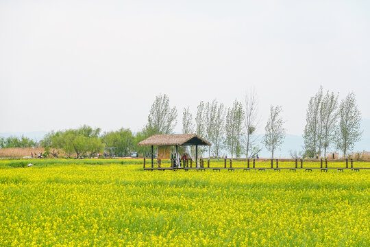 滇池旁乡村旅游