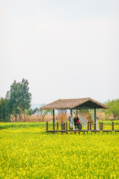 乡村美景