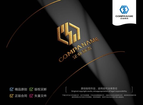 S字母LOGO设计