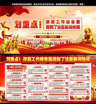 2025政府工作报告新词热词