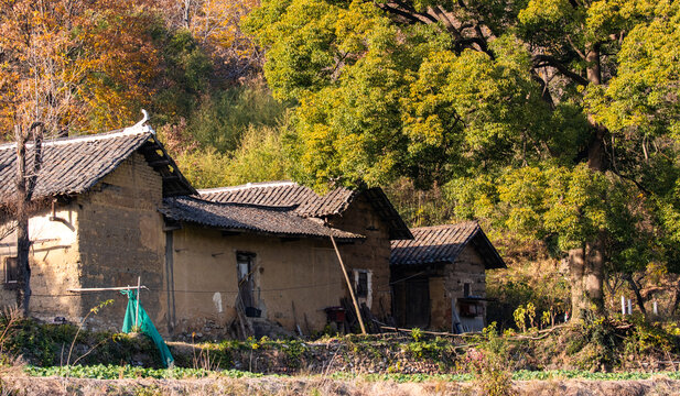 土坯房