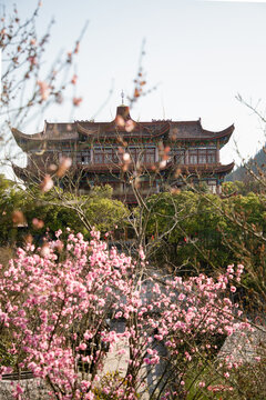 贵州醇景区