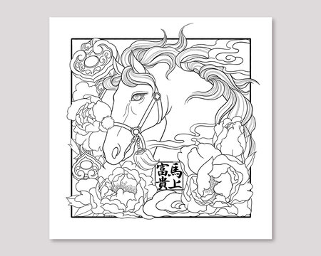 生肖马年牡丹文创插画线描