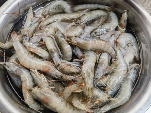 鲜虾