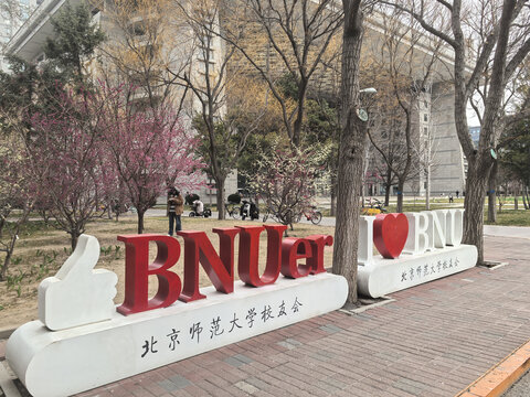 北京师范大学校友会标识