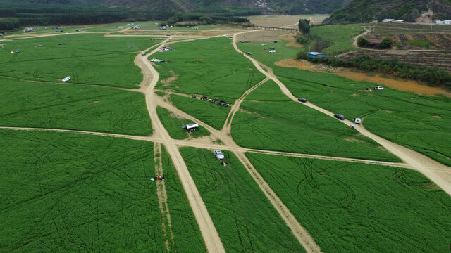 航拍草地草原