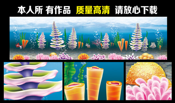 水族珊瑚壁纸