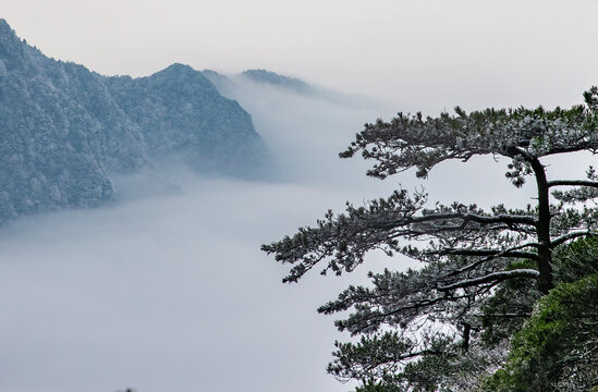江西武功山云海草甸