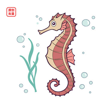 矢量插图动物海洋生物海马