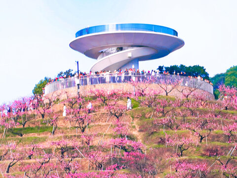 天下第一桃园