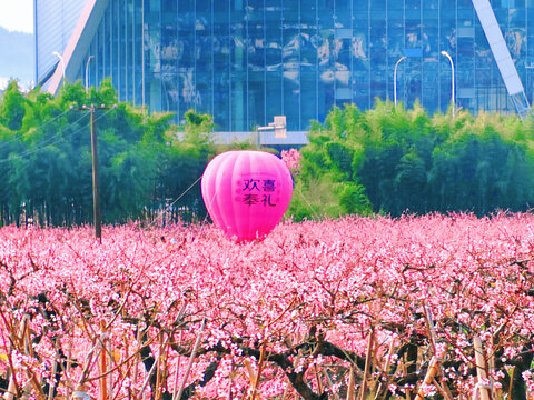 天下第一桃园