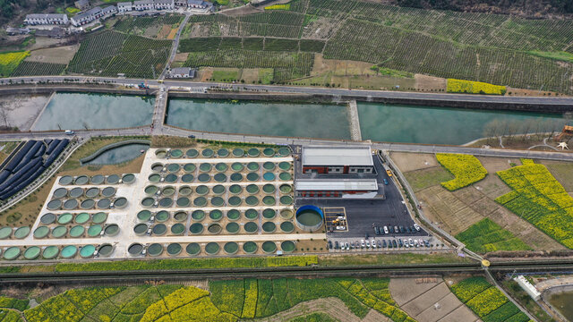 汇湾油菜渔村