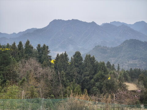 春天的大山风光
