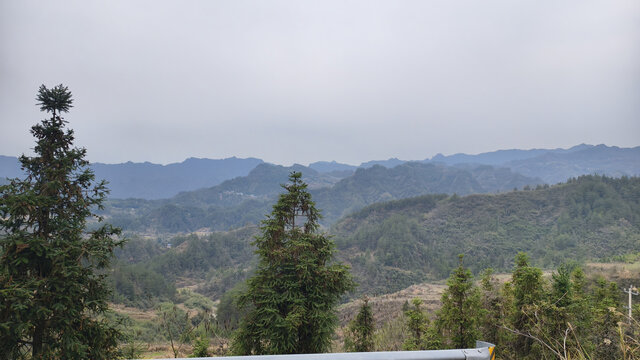 绿植与青山