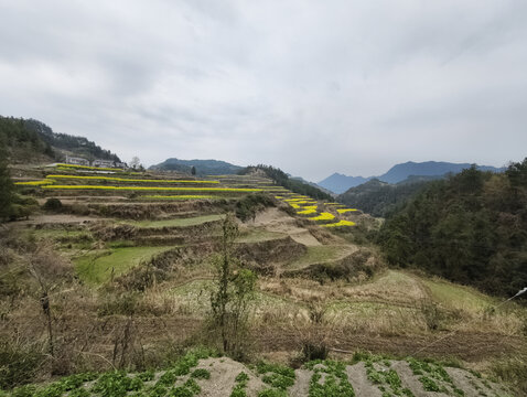 春天的山色