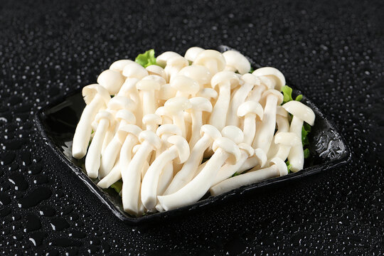 白玉菇