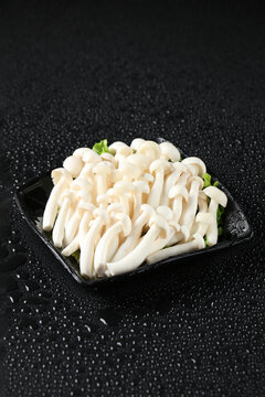 火锅白玉菇