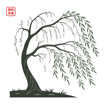 矢量插图植物一颗垂柳