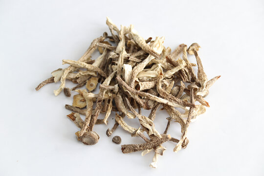 干鹿茸菇