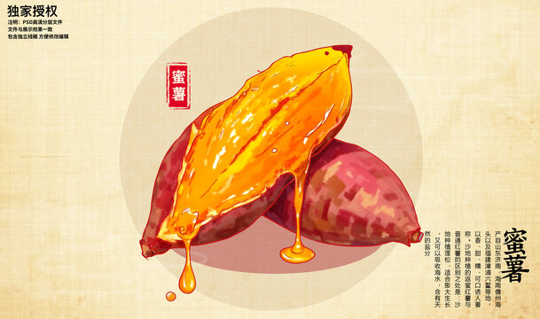 蜜薯插画