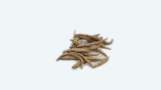 太子参