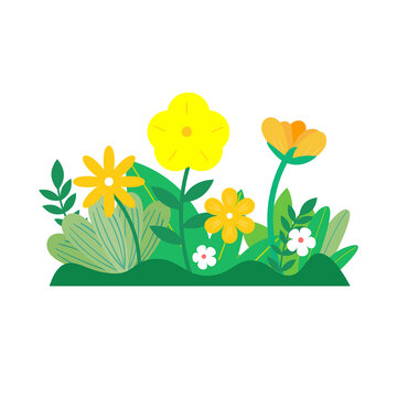 春天植物插画