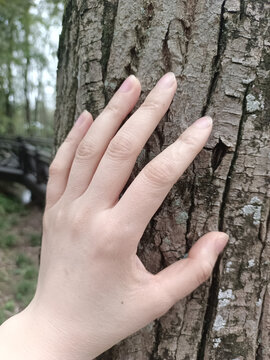 手特写
