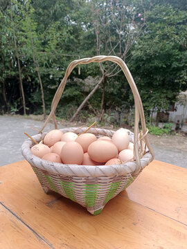 一篮鸡蛋