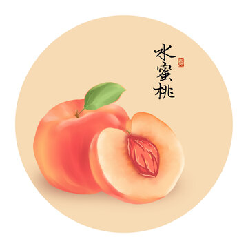 水蜜桃插画