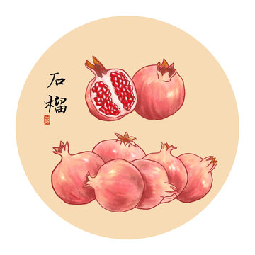 石榴插画