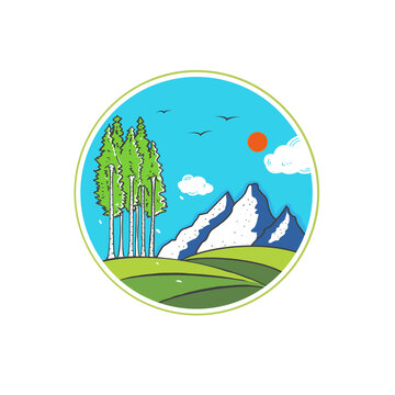 小白杨