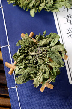 蛤蟆草