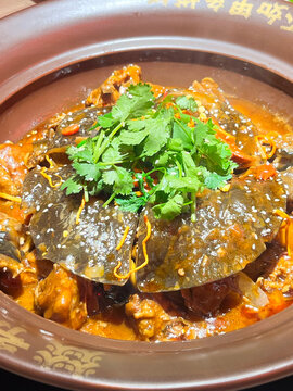 甲鱼鸡煲