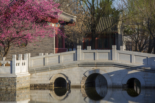 北京园博园古建春季风光